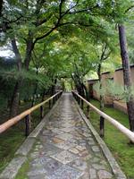 京都紅葉光悦寺20091026