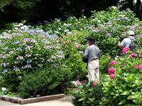 京都府立植物園