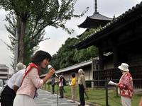 瀬戸恵子候補