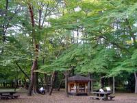 京都御苑20091015