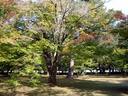 京都御苑20091015