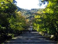 京都紅葉二尊院2009