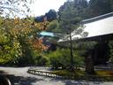京都紅葉二尊院2009
