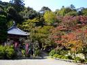京都紅葉二尊院2009