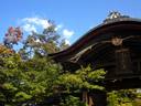 京都紅葉二尊院2009