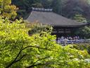 京都紅葉情報清水寺20091019