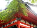 京都紅葉情報清水寺20091019