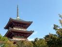 京都紅葉情報清水寺20091019