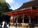 京都紅葉情報八坂神社20091019