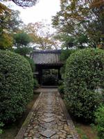 京都紅葉源光庵20091026