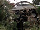 京都紅葉源光庵20091026