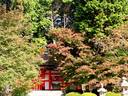 京都紅葉大原野神社20091029