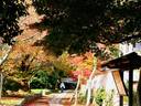 京都紅葉勝持寺20091104