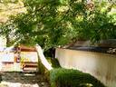 京都紅葉勝持寺20091104