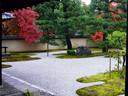 京都紅葉蘆山寺20091111