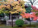 京都紅葉蘆山寺20091111