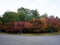 京都紅葉京都御苑20091111