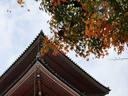京都紅葉清水寺20091111