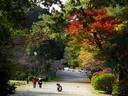 京都紅葉宝ヶ池20091112