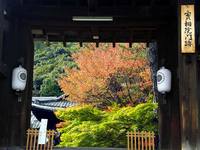 京都紅葉実相院20091112