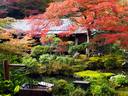 京都紅葉実相院20091112