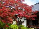 京都紅葉実相院20091112