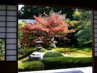 京都紅葉雲龍院20091116
