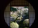 京都紅葉雲龍院20091116