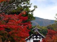 京都紅葉天龍寺20091116