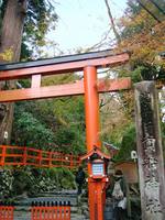 京都紅葉貴船神社20091118