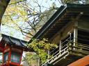 京都紅葉貴船神社20091118