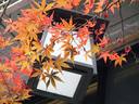 京都紅葉貴船神社20091118
