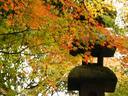 京都紅葉興聖寺20091118