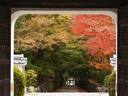 京都紅葉興聖寺20091118