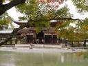 京都紅葉平等院20091118