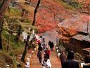 京都紅葉神護寺20091124