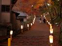 京都紅葉神護寺20091124