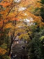 京都紅葉神護寺20091124