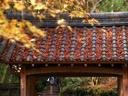 京都紅葉高山寺20091124