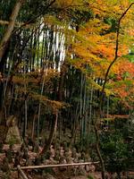 京都紅葉石峯寺20091130