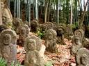 京都紅葉石峯寺20091130