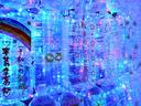 アグネスDSC_2698