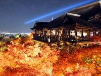 京都紅葉清水寺20091208