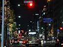 カラスマイルミネーション2009