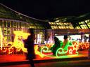 京都府立植物園イルミネーション