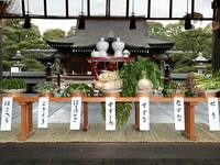 旧暦七草粥の日
