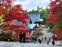 京都神護寺の紅葉