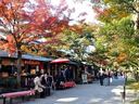 京都三千院の紅葉