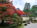 京都等持院の紅葉