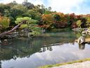 京都天龍寺の紅葉